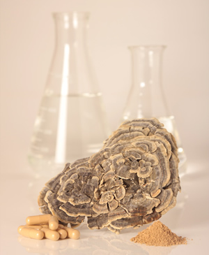 Despre Coriolus